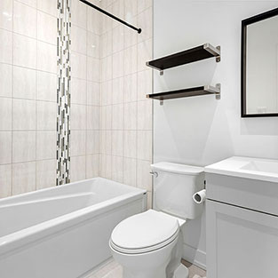 Toilet Repair